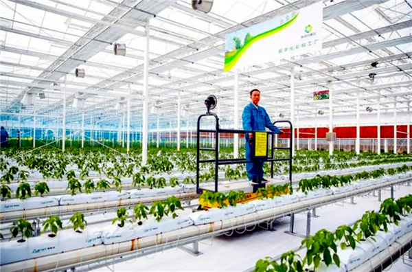 科技助农 科技助农