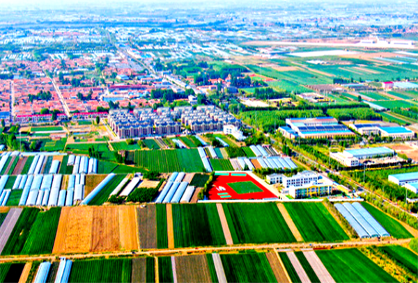 村镇企业的特点和优势 村镇企业的特点和优势