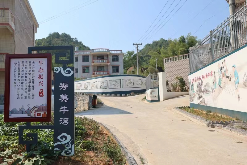 绿色光电“照亮”乡村致富路