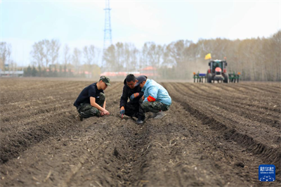 立夏农事忙【5】