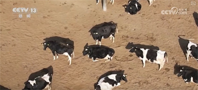 构建现代饲草产业 做好饲料“文章” 更好保障国家粮食安全与重要农产品供给