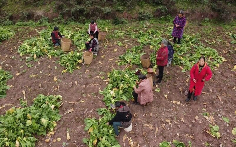 1740971228672048.jpg 1740971228672048.jpg