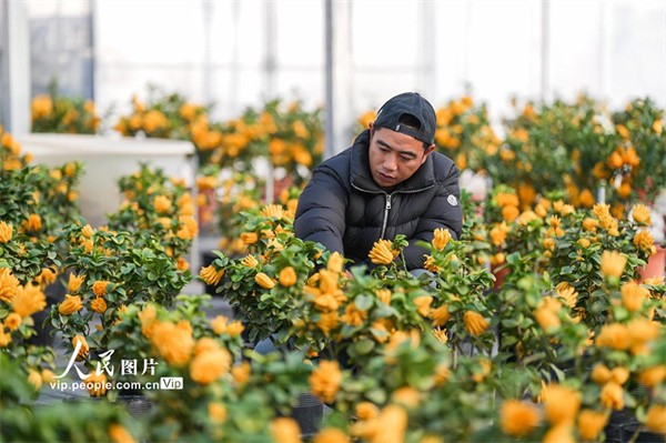 PHOTBjrpK7VDv6v4Nh50UVGW260112_1000x2000 (1)