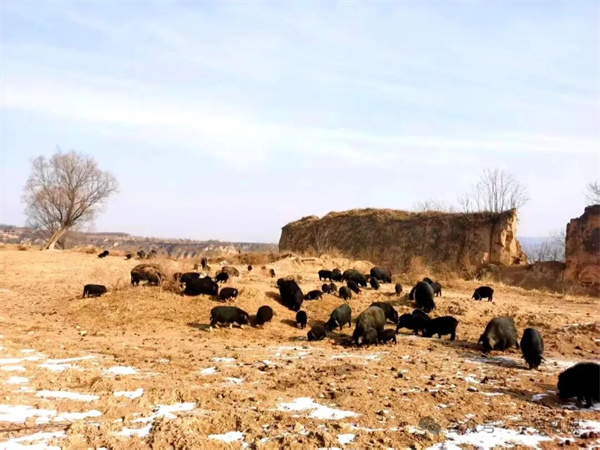 20260127102006442-27-af663 20260127102006442-27-af663