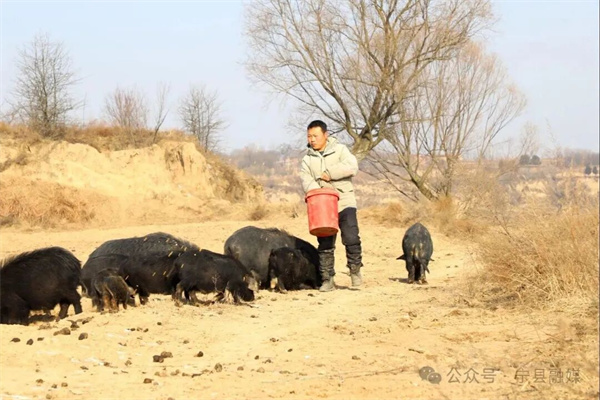 20260127102006556-74-dc88d 20260127102006556-74-dc88d