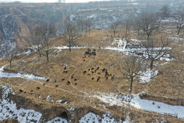 20260127102006626-59-88847 20260127102006626-59-88847