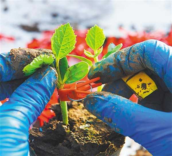 W020260130336989271095_ORIGIN W020260130336989271095_ORIGIN