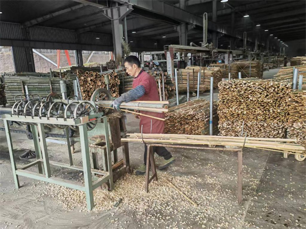 20260226fb37fbf4fcbc4be5866edac6698959b2_ebd1e442603944fb8eac18796e263551 20260226fb37fbf4fcbc4be5866edac6698959b2_ebd1e442603944fb8eac18796e263551