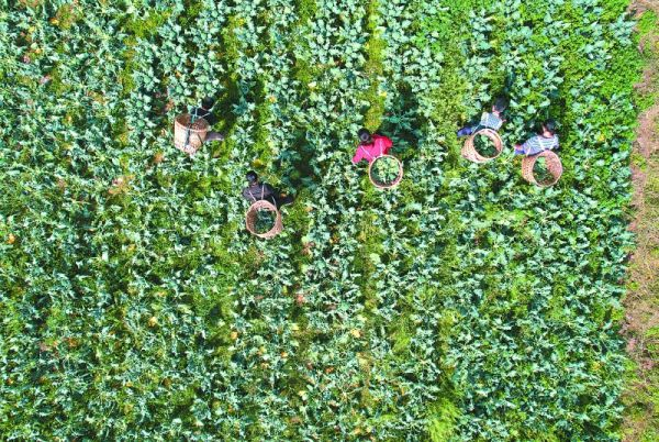 w700d1q75cms w700d1q75cms