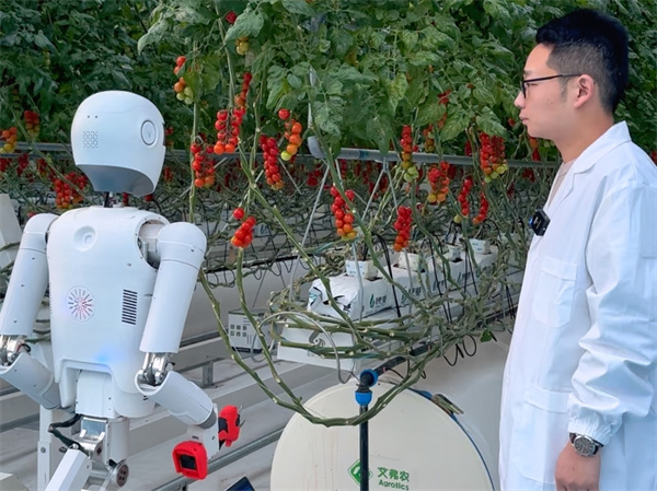 ddf5ba14-fe18-486f-9984-f020356662ab