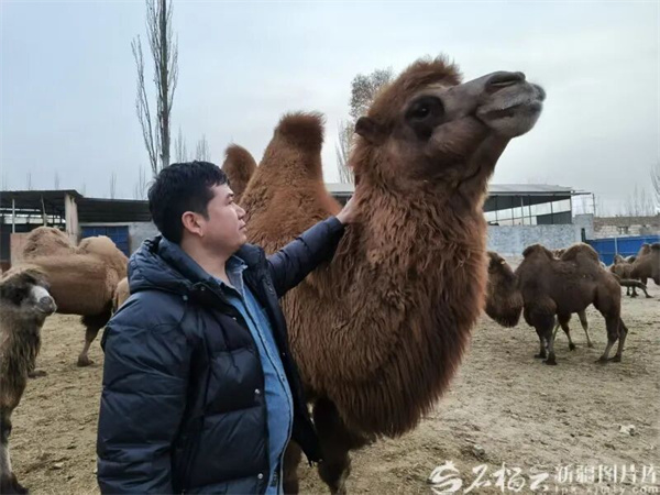 微信图片_2026-03-24_144523_822