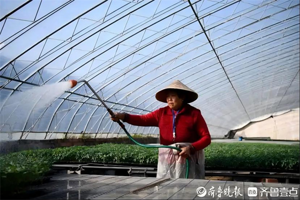 5243fbf2b21193139a65974117b660c690238db8(1) 5243fbf2b21193139a65974117b660c690238db8(1)