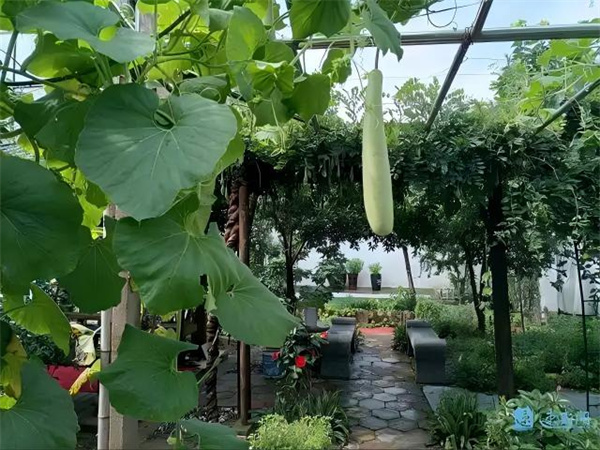 fcfaaf51f3deb48f093f50c02f7e50382cf578c9(1) fcfaaf51f3deb48f093f50c02f7e50382cf578c9(1)