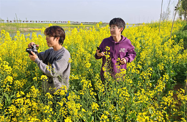 86cc529b76b8e6b4b6343d4a6451db87