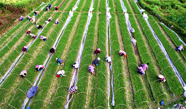 20260414141905688-83-5f716 (1)