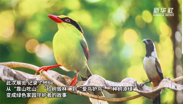 微信图片_20260421113411_380_11