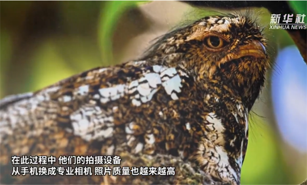 微信图片_20260421113130_379_11